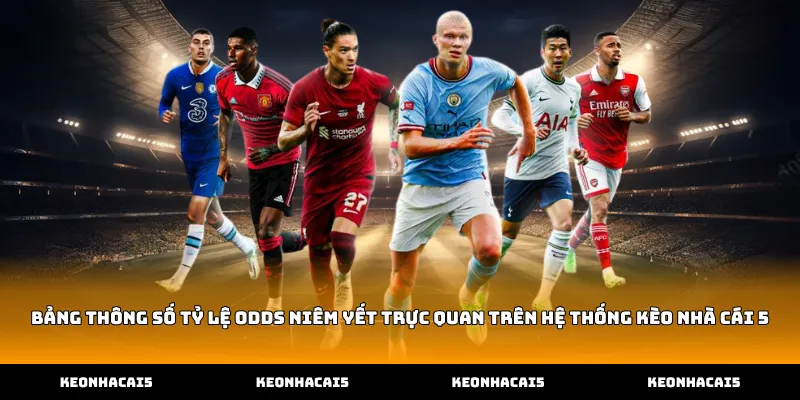 Bảng thông số tỷ lệ odds niêm yết trực quan trên hệ thống Kèo Nhà Cái 5