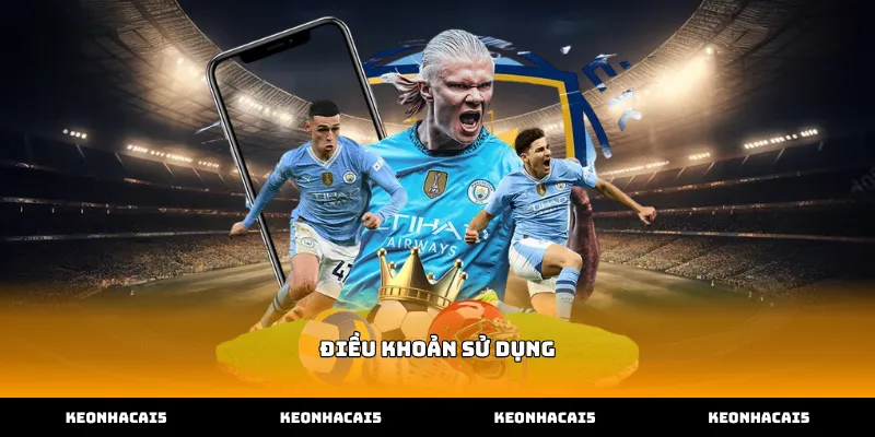 Vai trò then chốt của Điều khoản sử dụng cá cược online
