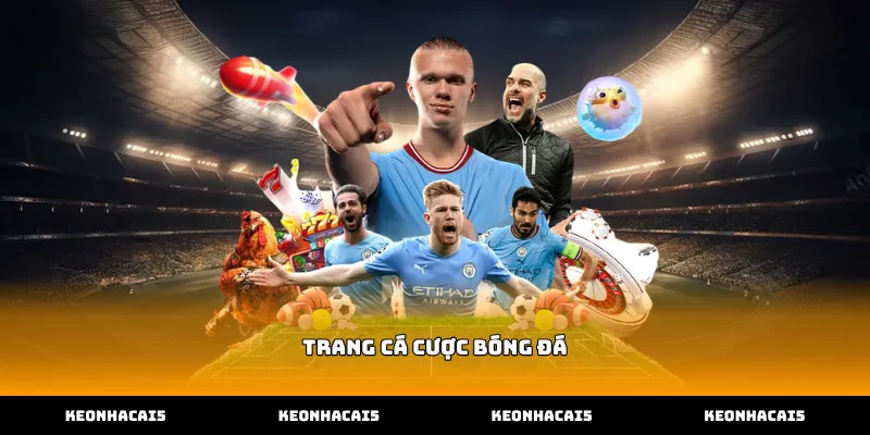 Khám phá các tính năng cốt lõi tại Trang cá cược bóng đá trực tuyến